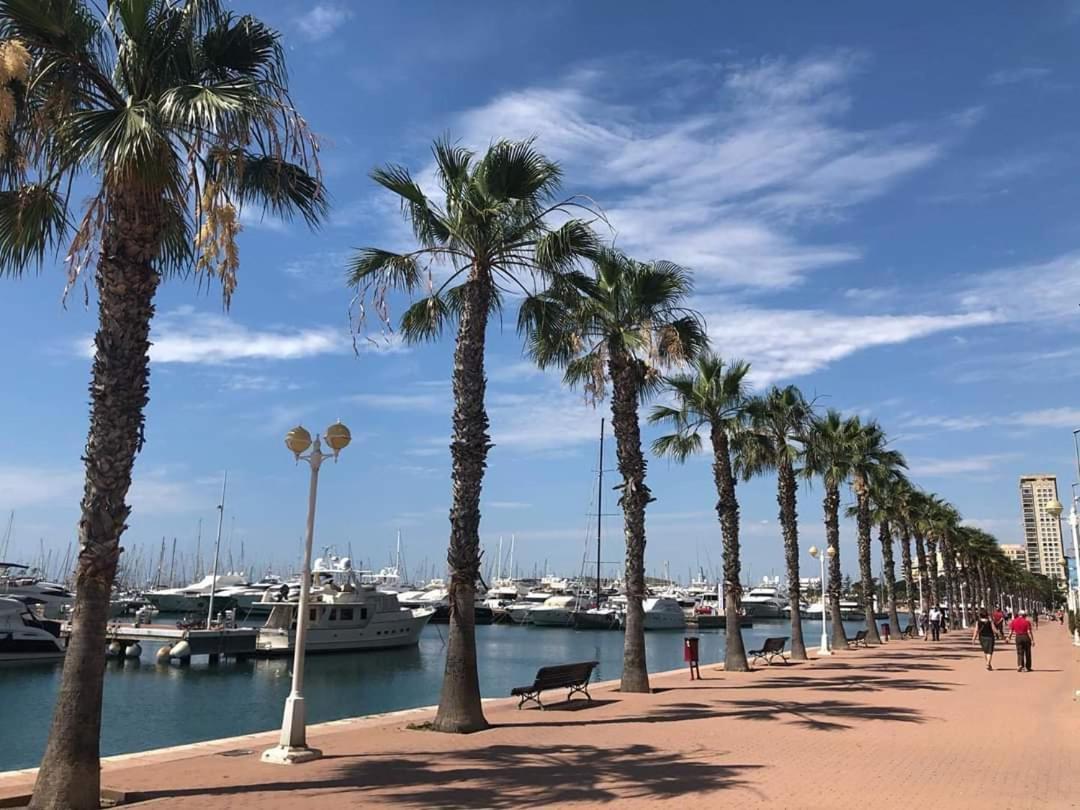 Casaturis Plaza Nueva En El Centro De Alicante A110 Eksteriør billede